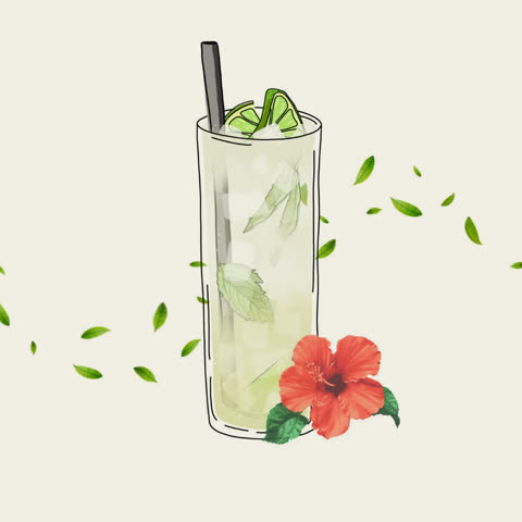 Havana Mojito